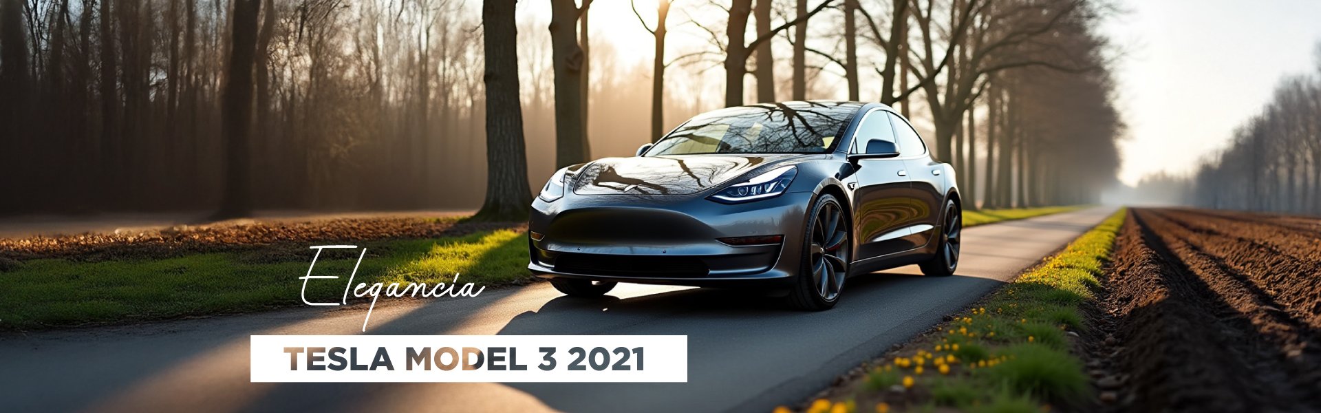 Caruzen Motors Houston, Elegancia.
